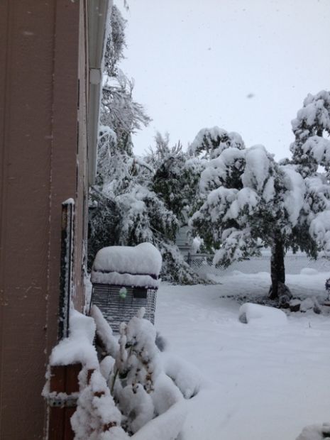 Winter Storm Atlas